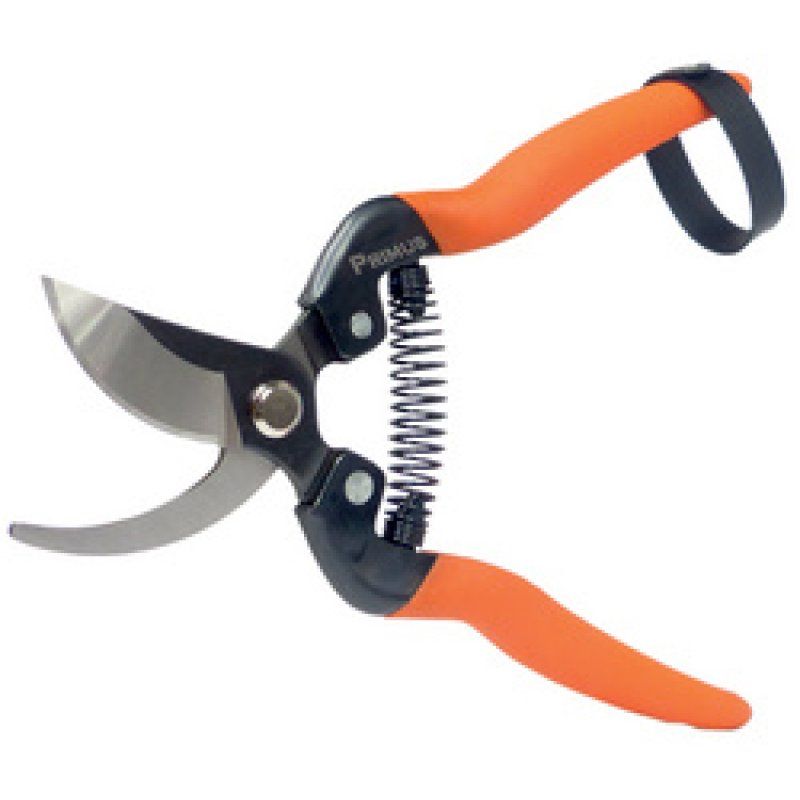 Garten PRIMUS Sécateur de jardin "Sécateur spécial rosier"