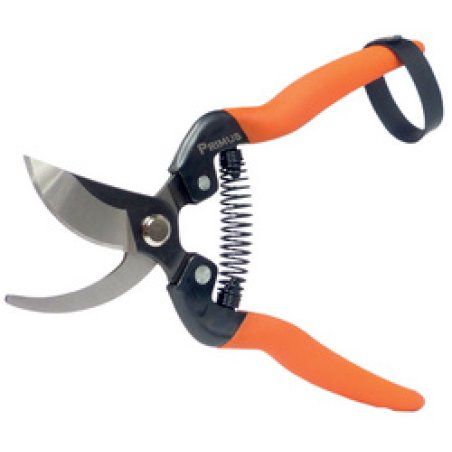 Garten PRIMUS Sécateur de jardin "Sécateur spécial rosier"