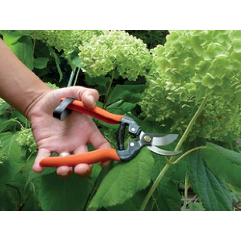 Garten PRIMUS Sécateur de jardin "Sécateur spécial rosier"