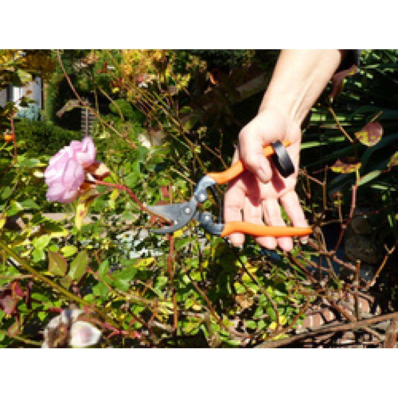 Garten PRIMUS Sécateur de jardin "Sécateur spécial rosier"