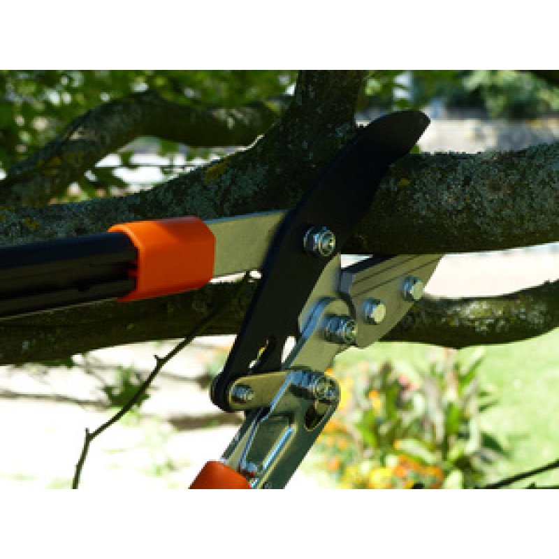 Garten PRIMUS Coupe-branches à enclume-sécateur, crémaillère