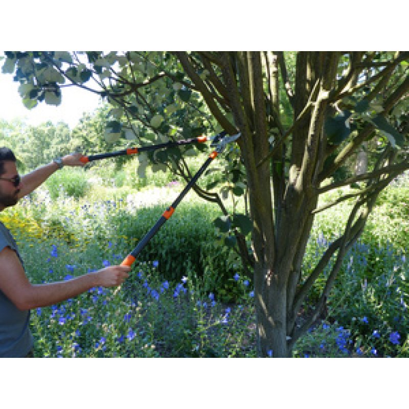 Garten PRIMUS Lame de rechange coupe-branches à enclume