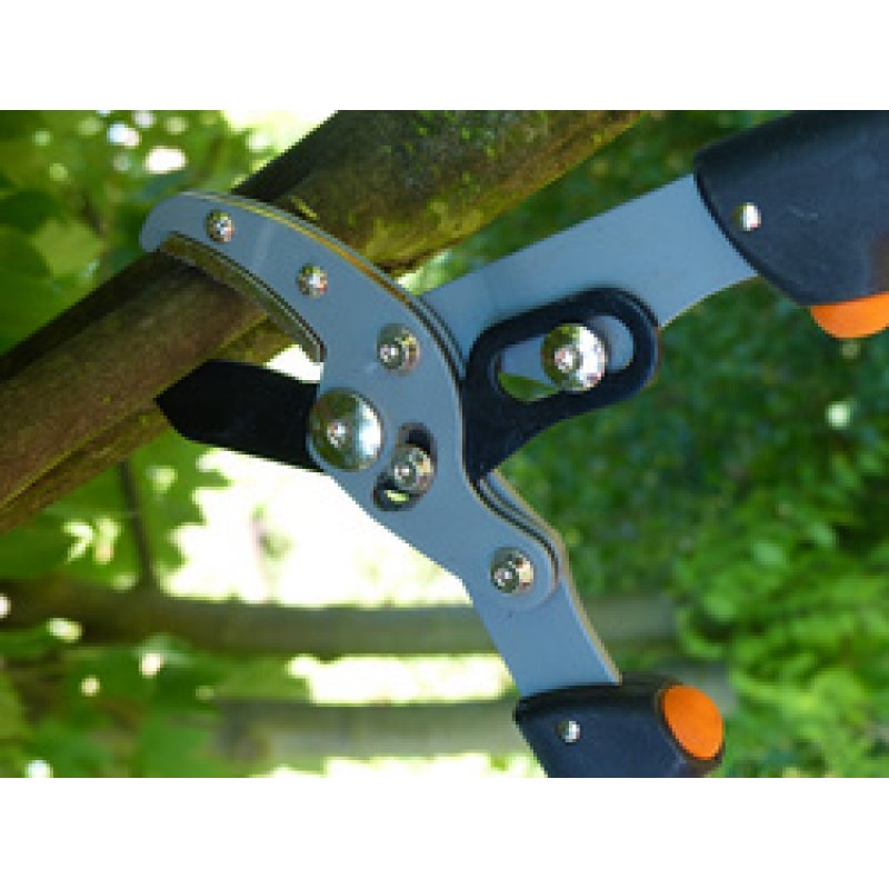 Garten PRIMUS Coupe-branches pour dames, longueur : 470 mm