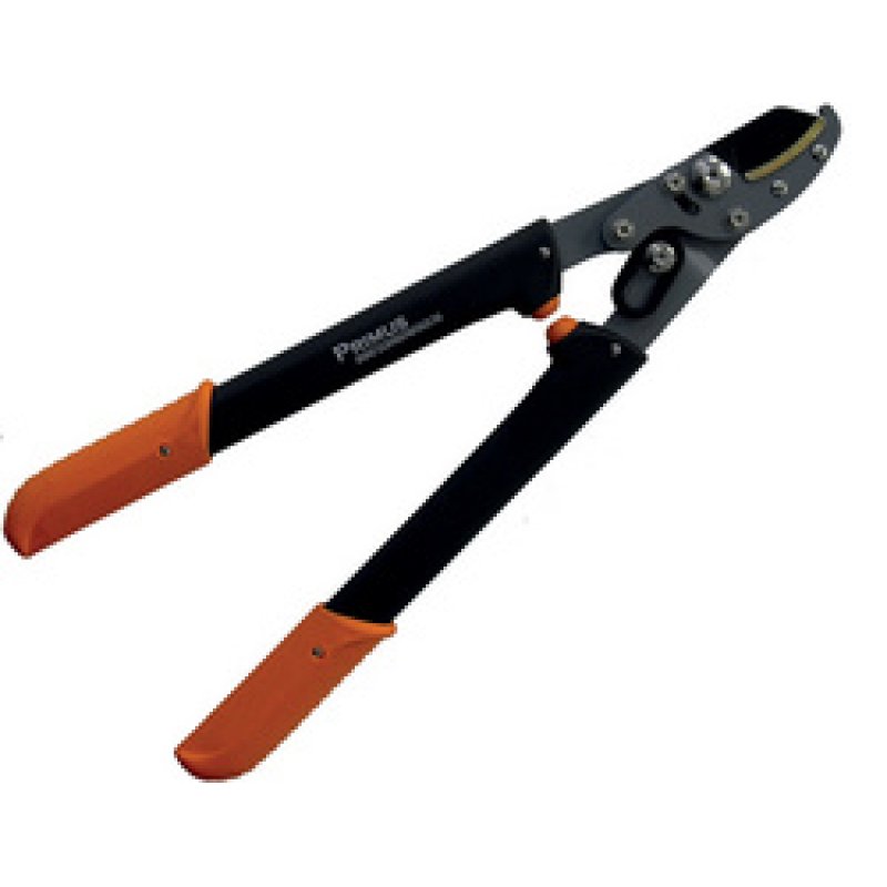 Garten PRIMUS Coupe-branches pour dames, longueur : 470 mm