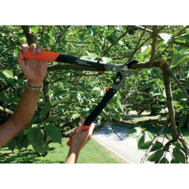 Garten PRIMUS Coupe-branches pour dames, longueur : 470 mm