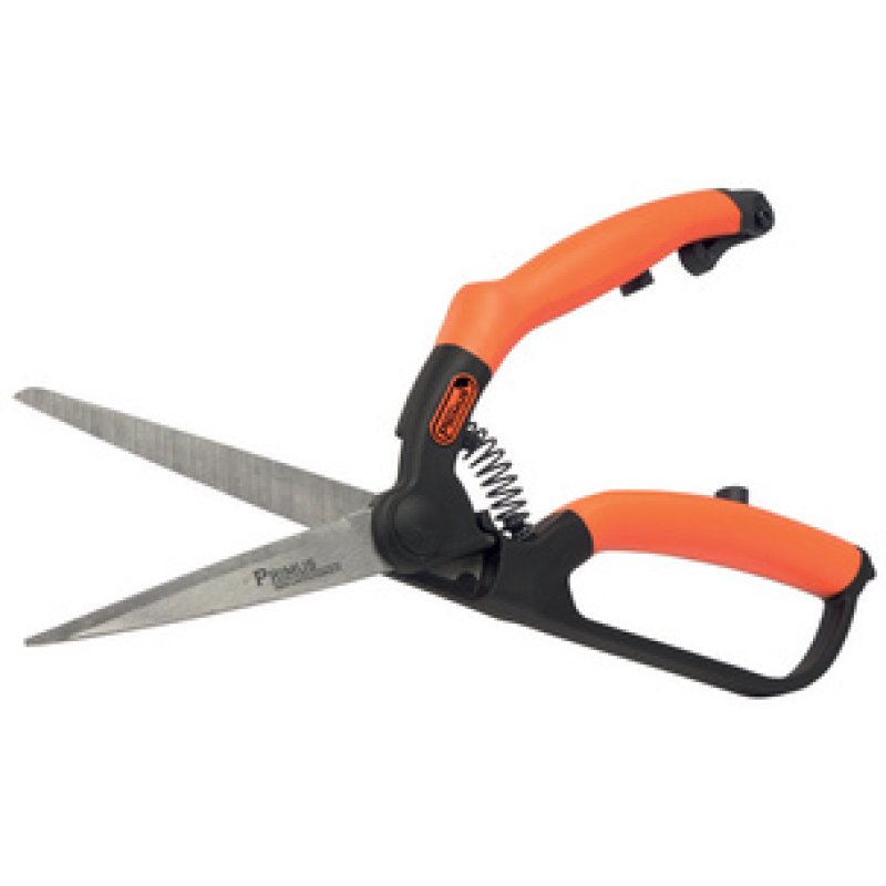 Garten PRIMUS Cisaille à buis, petit, longueur : 260 mm