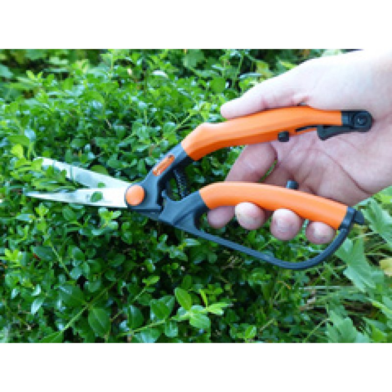 Garten PRIMUS Cisaille à buis, petit, longueur : 260 mm