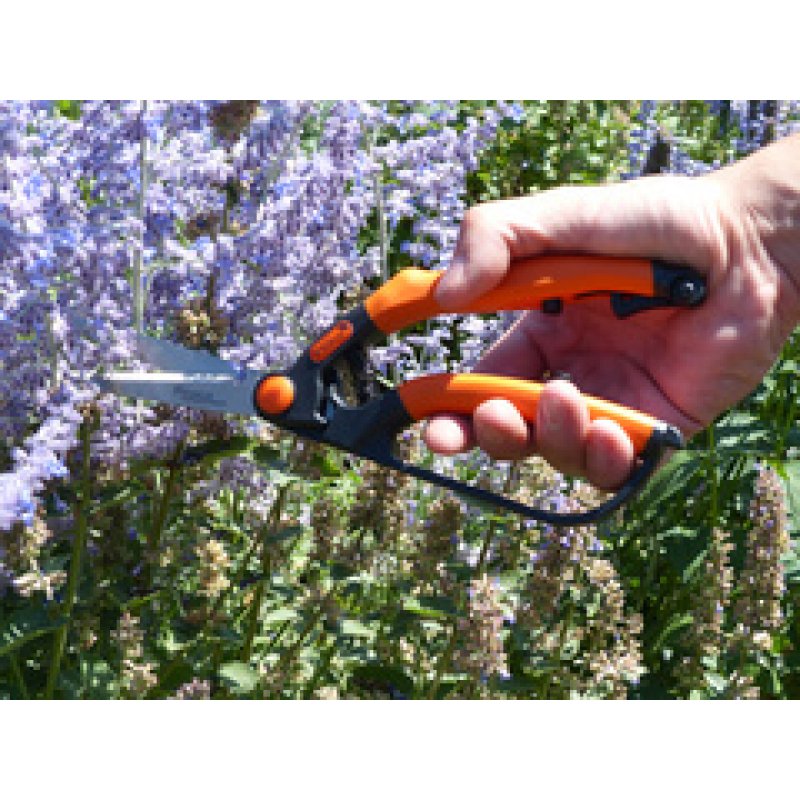 Garten PRIMUS Cisaille à buis, petit, longueur : 260 mm