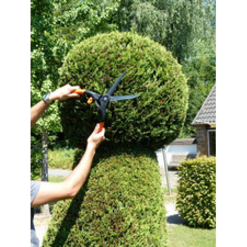 Garten PRIMUS Cisaille à buis, grand, longueur: 435 mm