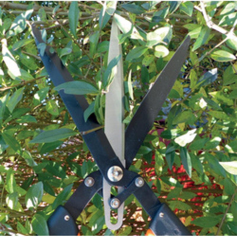 Garten PRIMUS Cisaille à haies "Multi-coupes"
