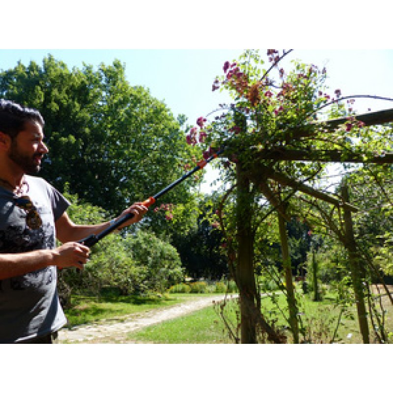 Garten PRIMUS Tête de rechange pour Cavalier à la rose