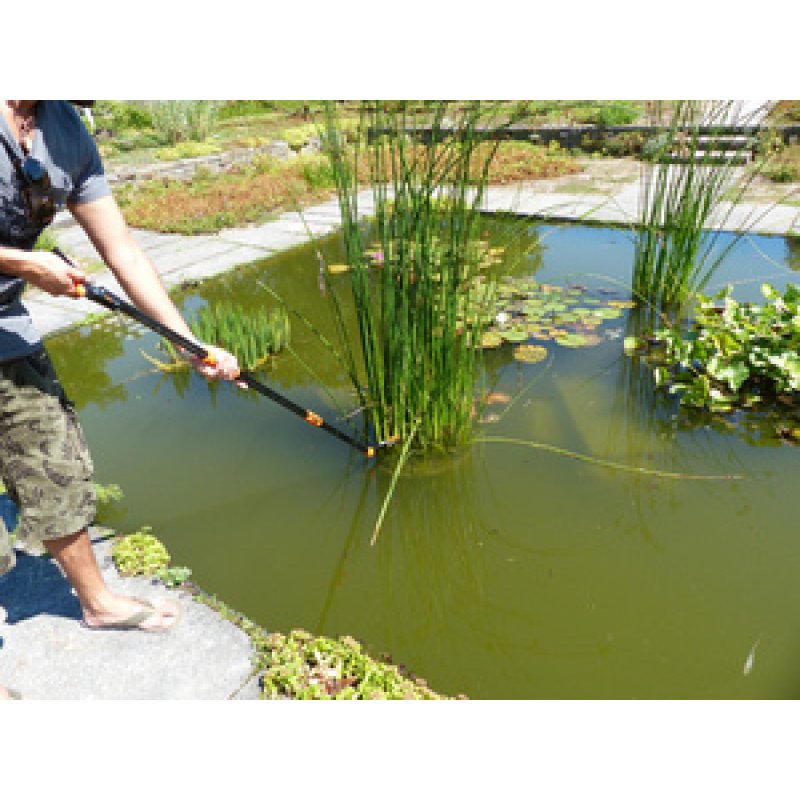 Garten PRIMUS Tête de rechange pour Cavalier à la rose