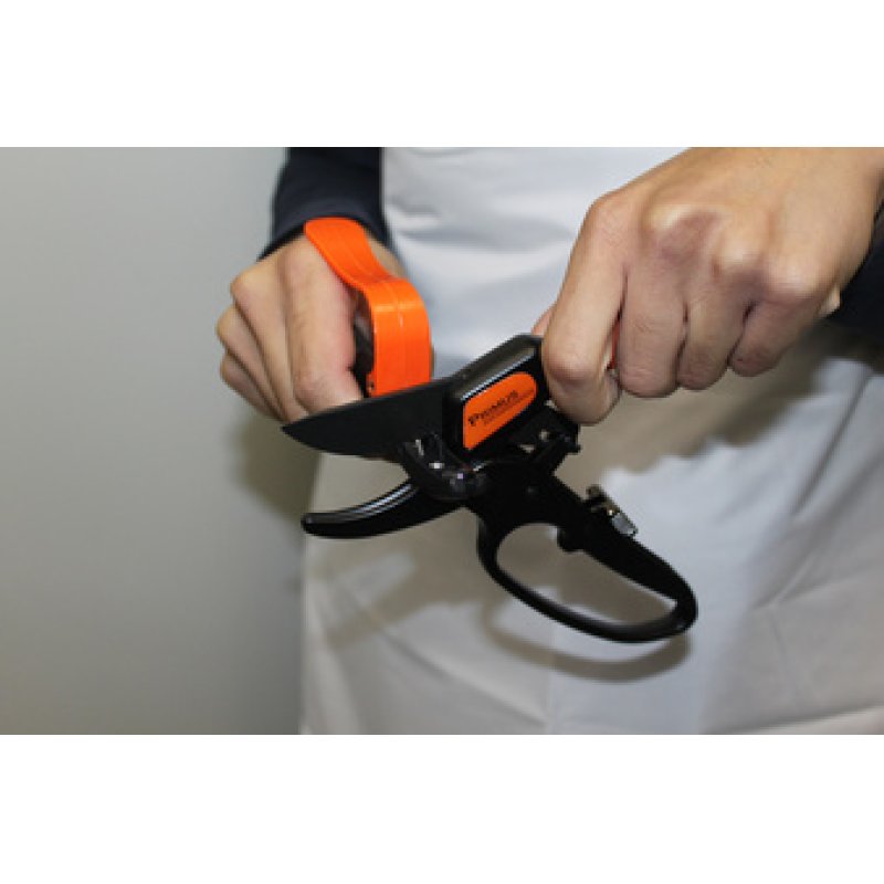 Garten PRIMUS Affûteur multi-fonctions, noir/orange