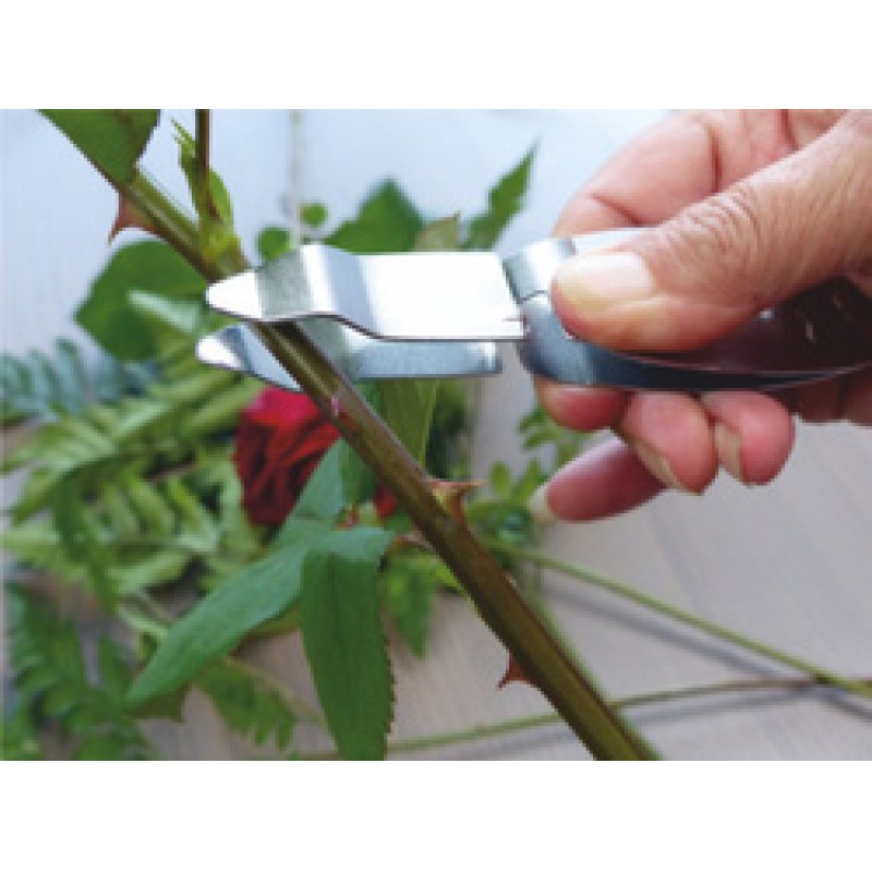 Garten PRIMUS Désépinoir, longueur: 145 mm