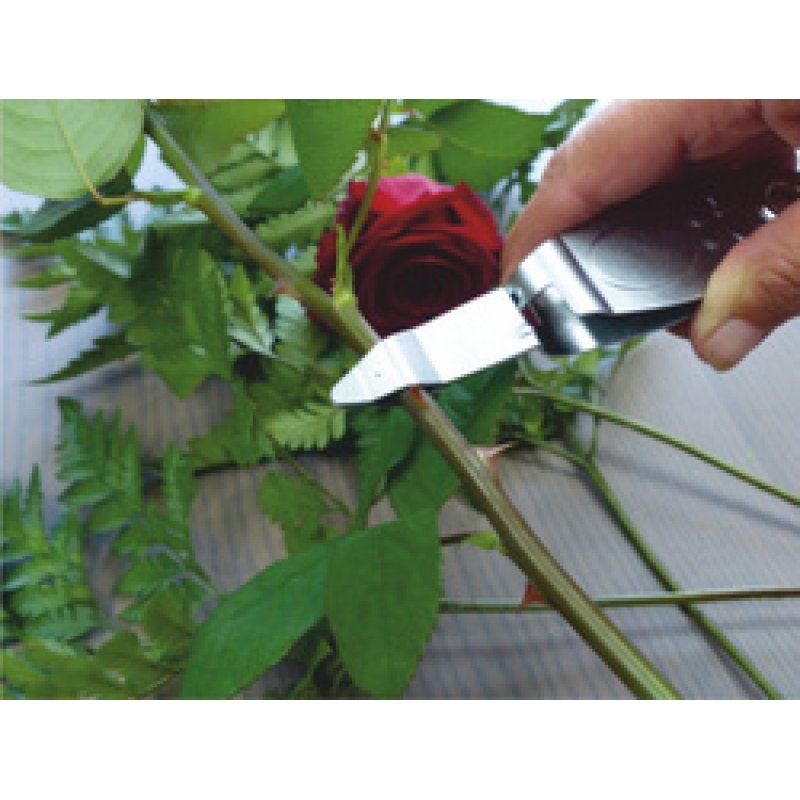 Garten PRIMUS Désépinoir, longueur: 145 mm