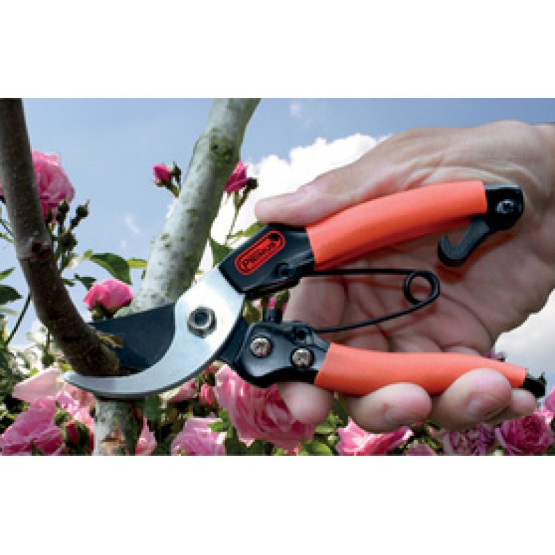 Garten PRIMUS Ressort de rechange pour sécateur de jardin