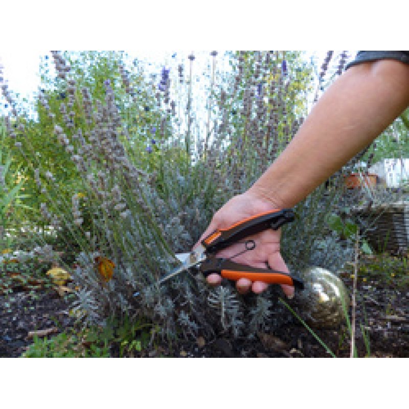 Garten PRIMUS Ressort de rechange pour ciseaux à plantes