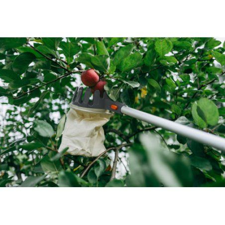 Bradas Cueille-fruits, à manche télescopique, argent/orange