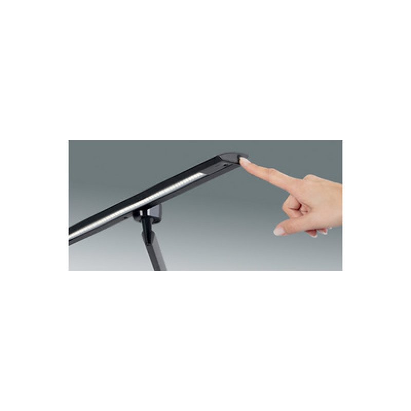 Hansa Lampe de bureau à LED "Zirkon", à pince, noir