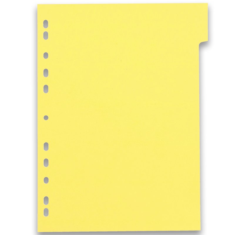 Oxford Intercalaires carton, uni, A4, multicolore, 12 touche