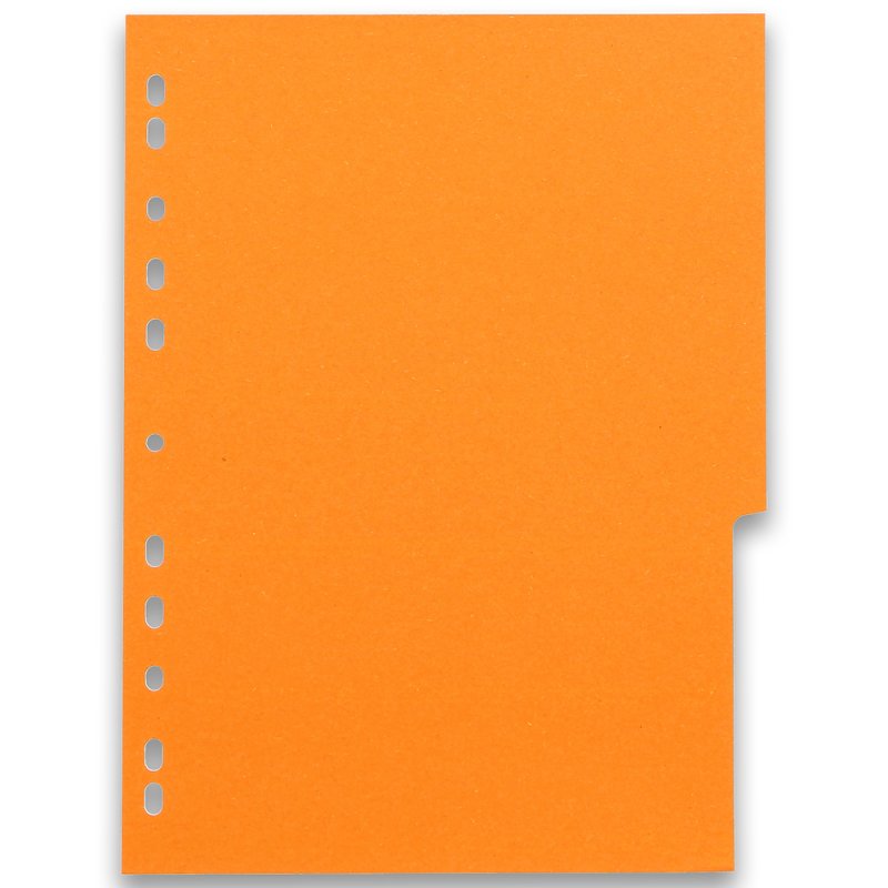 Oxford Intercalaires carton, uni, A4, multicolore, 12 touche