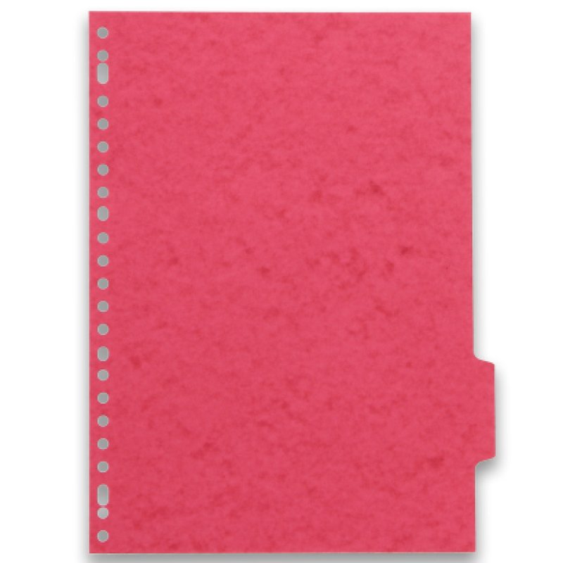 Oxford 100204975 intercalaire Carton Couleurs assorties 6 pièce(s)