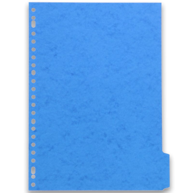 Oxford 100204975 intercalaire Carton Couleurs assorties 6 pièce(s)