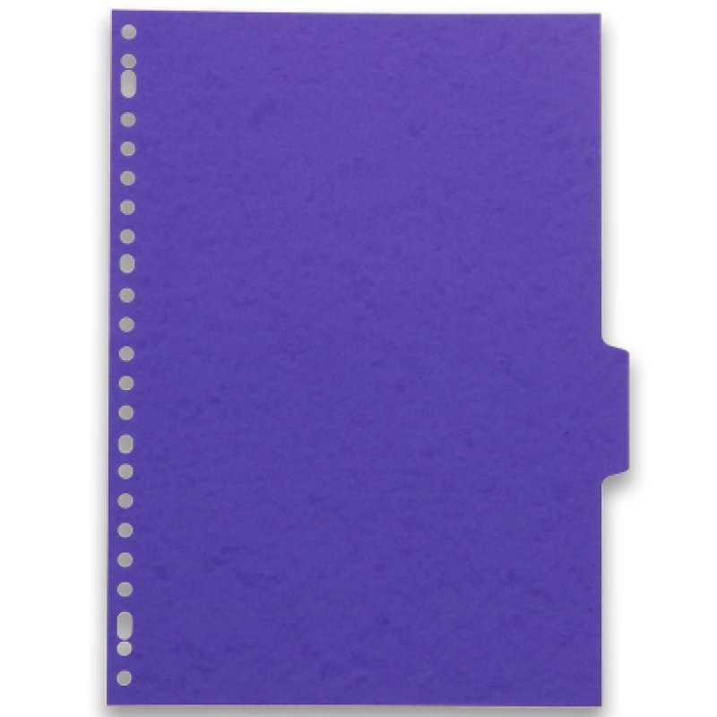 Oxford 100204975 intercalaire Carton Couleurs assorties 6 pièce(s)