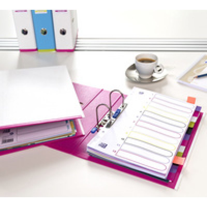Oxford Classeur myColour, dos 80 mm, vert clair / rose