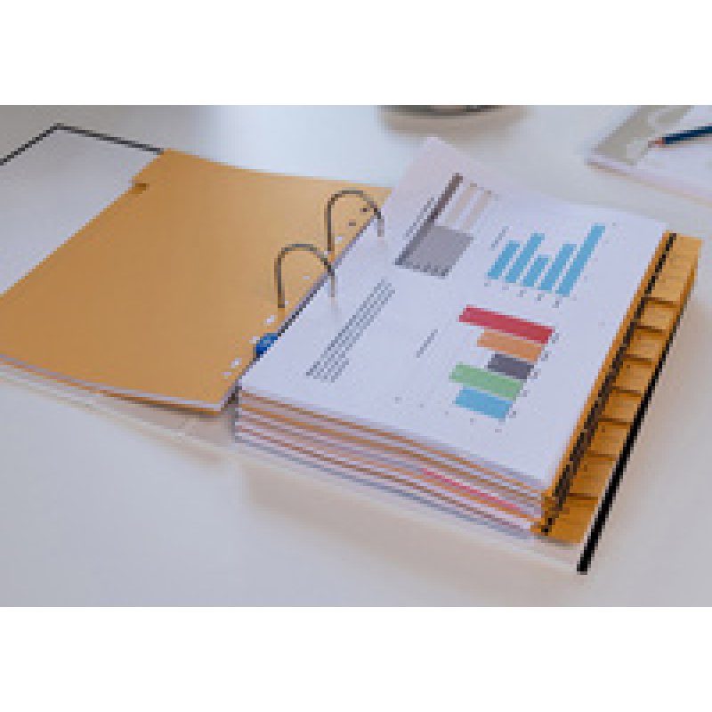 Oxford Intercalaire avec perforation, A4 extra large, bleu