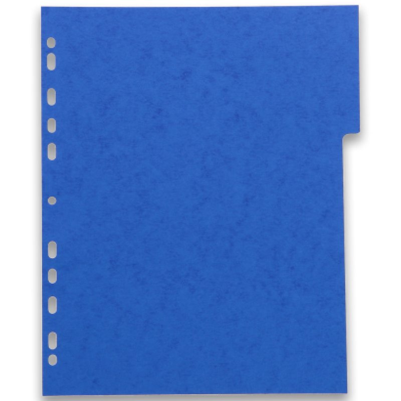 Oxford Intercalaires en carton, uni, format A4 , 6 touches