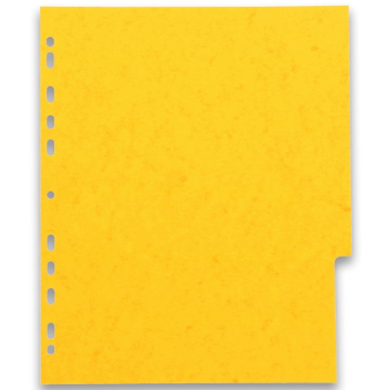 Oxford Intercalaires en carton, uni, format A4 , 6 touches