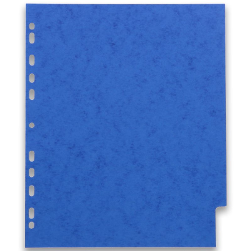 Oxford Intercalaires en carton, uni, format A4 , 6 touches