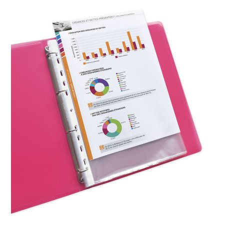 Oxford Pochette perforée, A4, PP, 0,06 mm, transparent