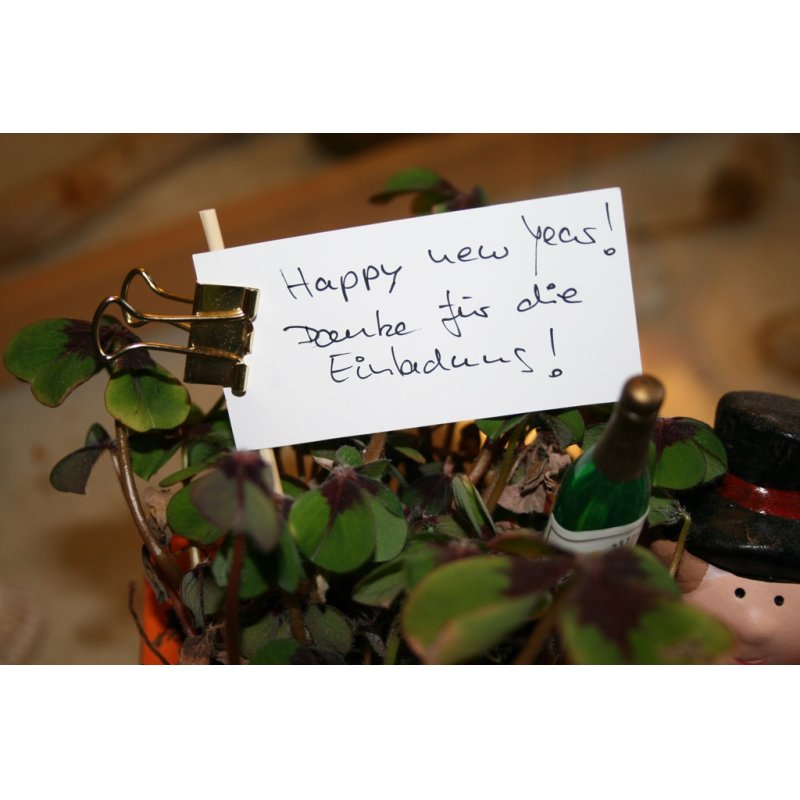 MAUL 2142590 paper clip Steel 12 pc(s)