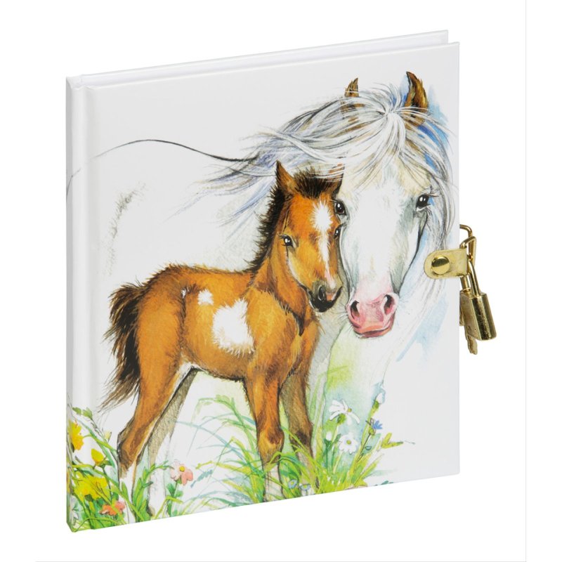 Pagna 20247-15 agenda