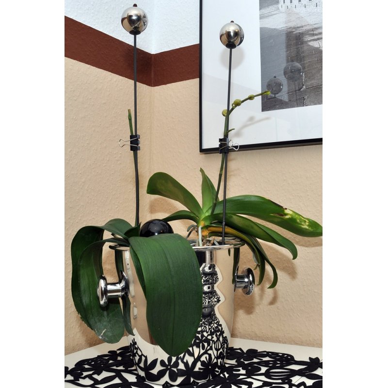 MAUL Pince double clip mauly 215, noir, (L)16 mm