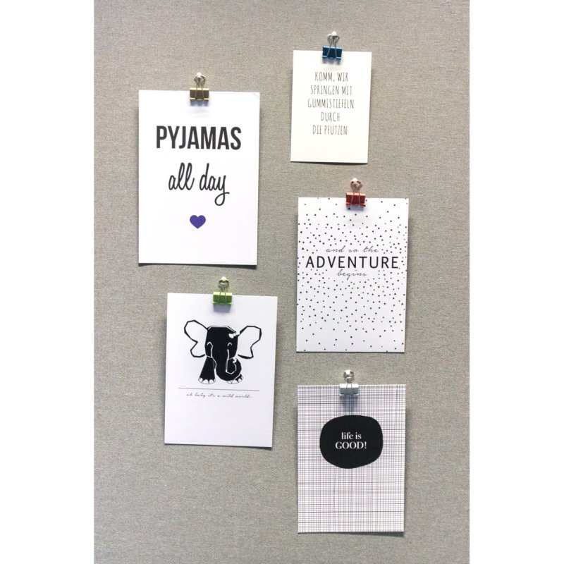 MAUL Pince double clip mauly 215, tailles/couleurs assorties