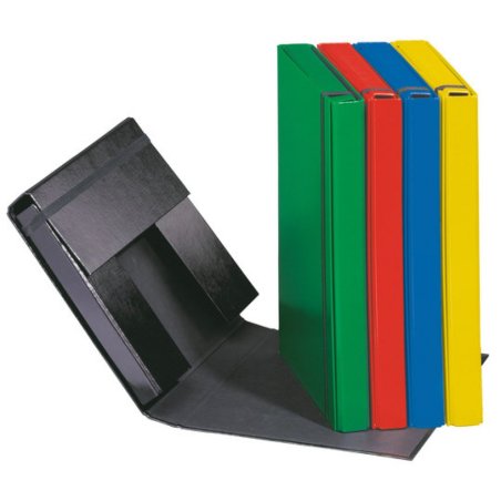 Pagna 21309-05 boîte à archive Vert Carton