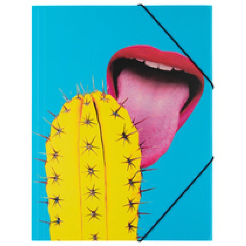 PAGNA Eckspannermappe "Mouth Zine Kultur", A4, PP