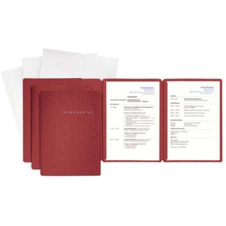 PAGNA Bewerbungs-Set "Special", DIN A4, grau, 3-teilig