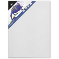 kangaro Châssis entoilé 3D, (L)500 x (P)37 x (H)600mm, blanc