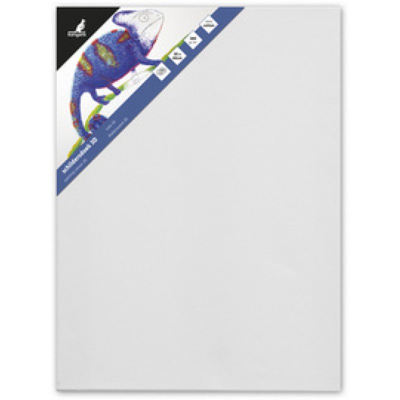 kangaro Châssis entoilé 3D, (L)500 x (P)37 x (H)600mm, blanc