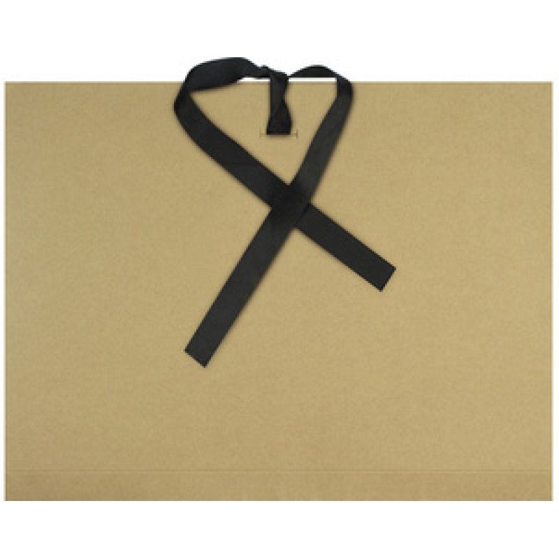 kangaro Carton à dessin Kraft, A3, carton, avec ruban