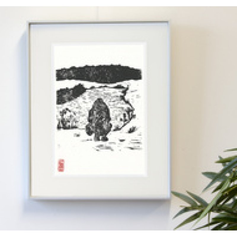 kangaro Carton plume, 700 x 1.000 mm, épaisseur 10 mm, blanc