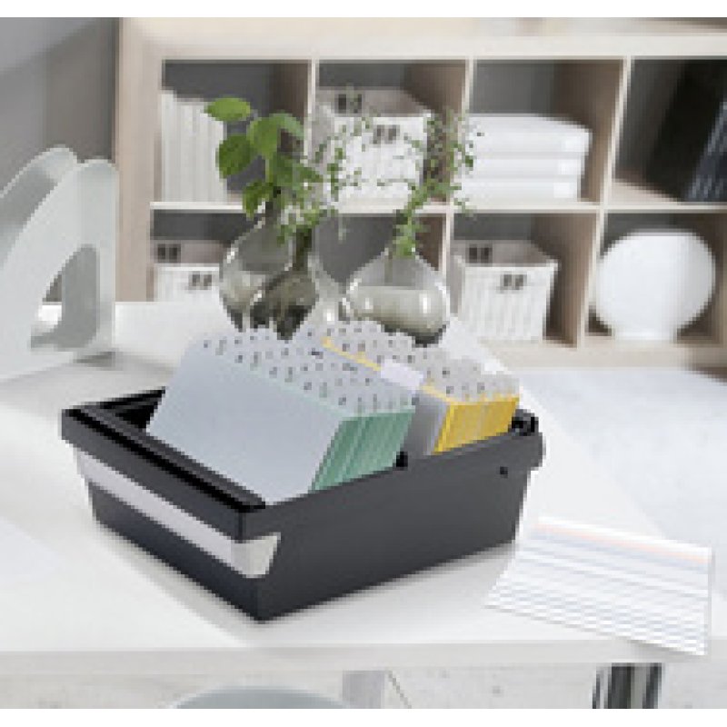 kangaro Fiches bristol, 105 x 750 mm, ligné, blanc