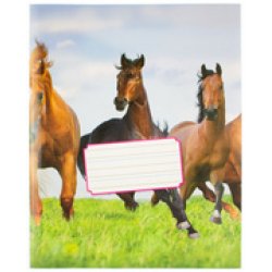 kangaro Schrift, 165 x 210 mm, liniatuur: 6-3-6, 36 blz