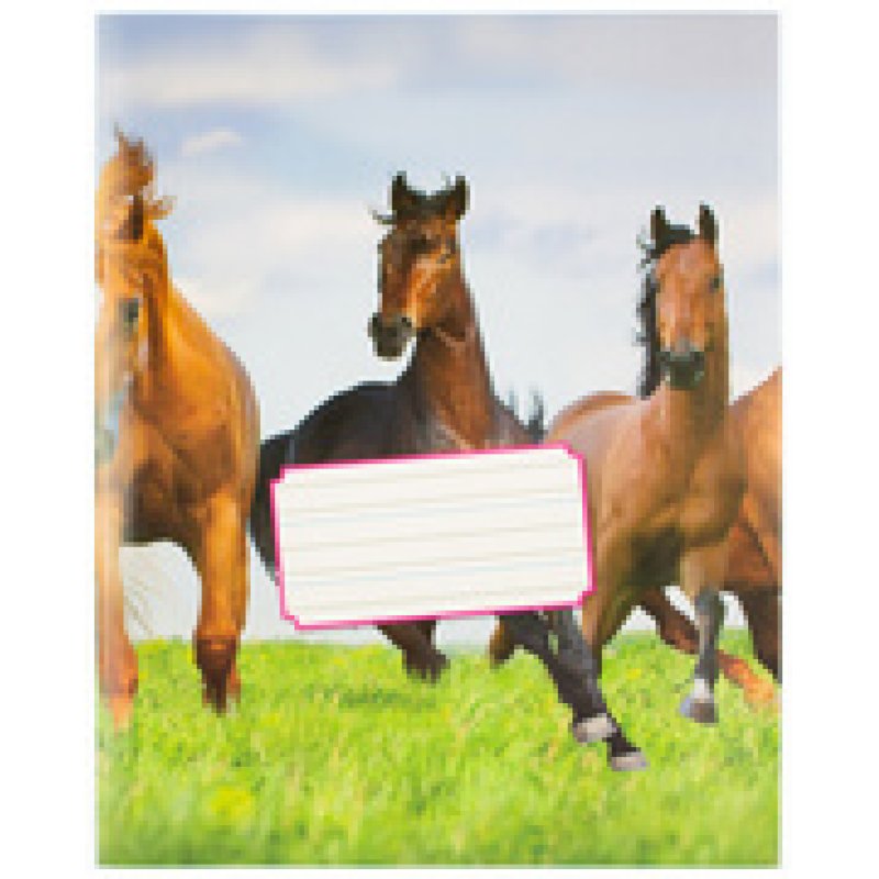 kangaro Schrift, 165 x 210 mm, liniatuur: 6-3-6, 36 blz