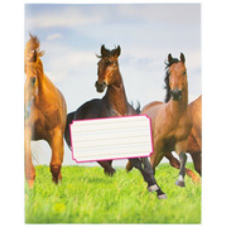 kangaro Schrift, 165 x 210 mm, liniatuur: 6-3-6, 36 blz