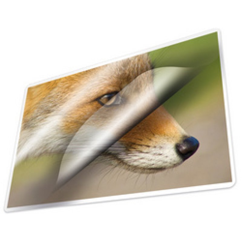 kangaro Pochette de plastification, 54 x 86 mm, 250 microns